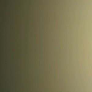 Meet your Posher, Sammy